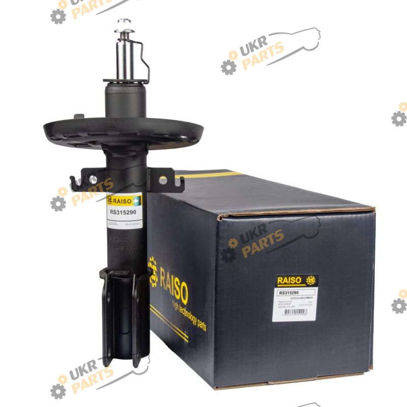  Raiso RS315290