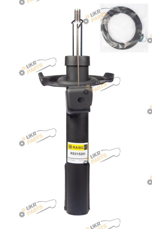  Raiso RS315293