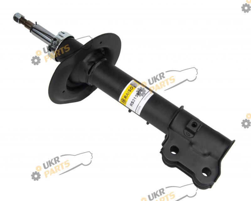  Raiso RS315950