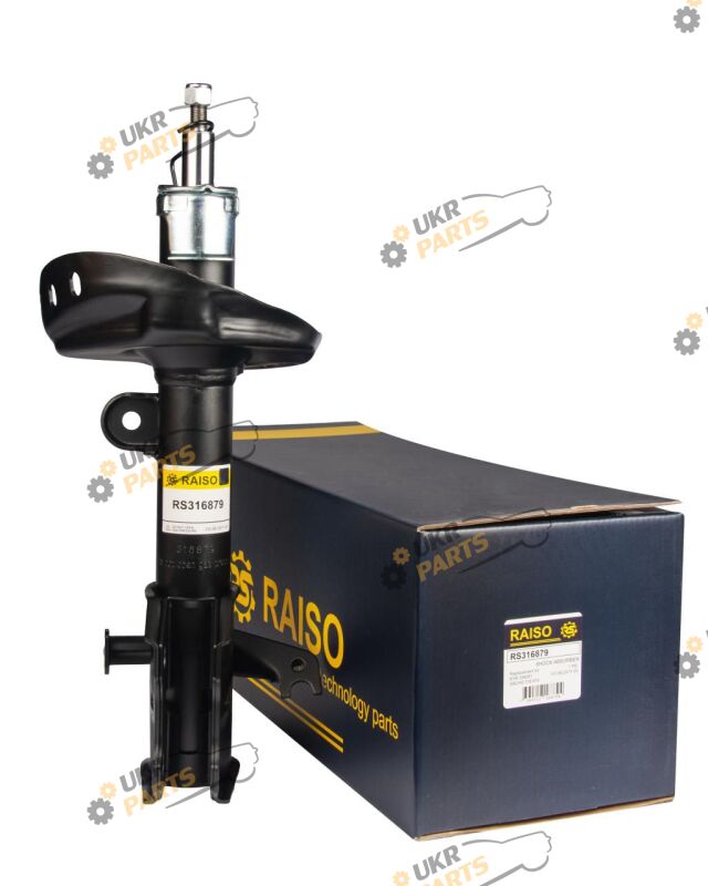  Raiso RS316879