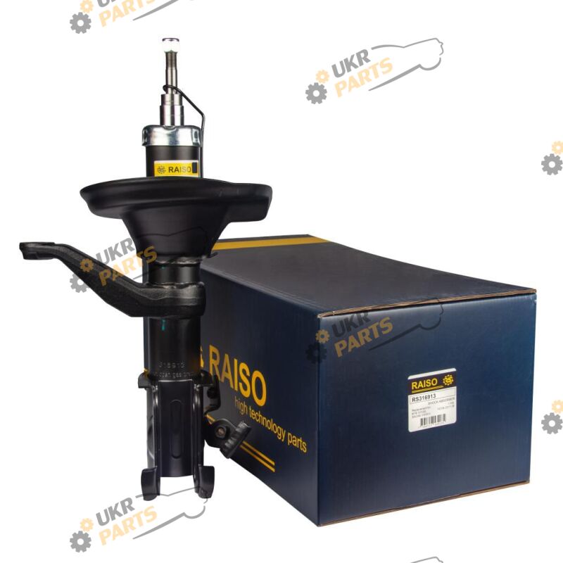  Raiso RS316913