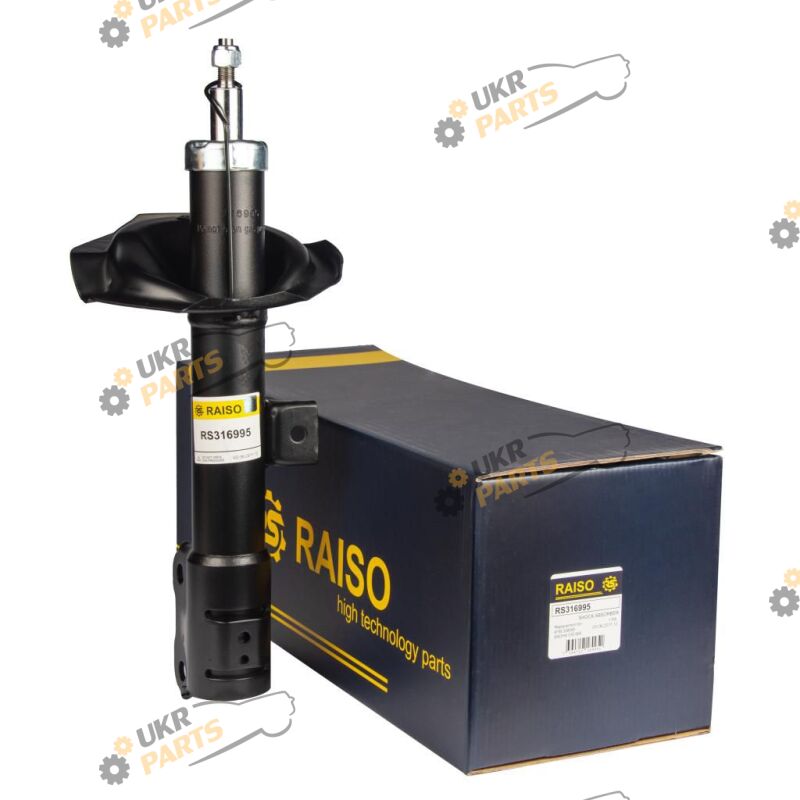  Raiso RS316995