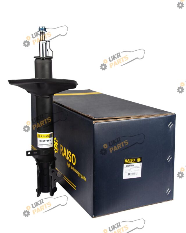  Raiso RS317163