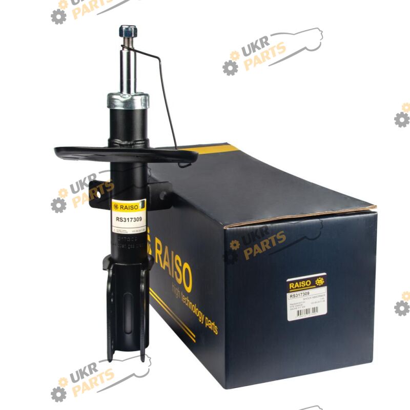  Raiso RS317309