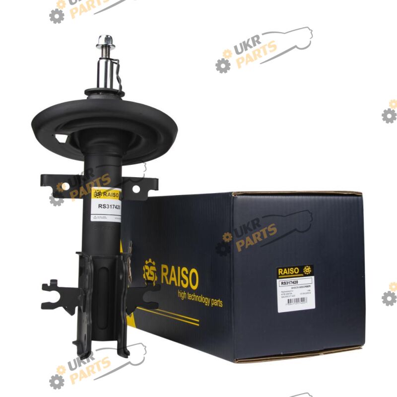  Raiso RS317420