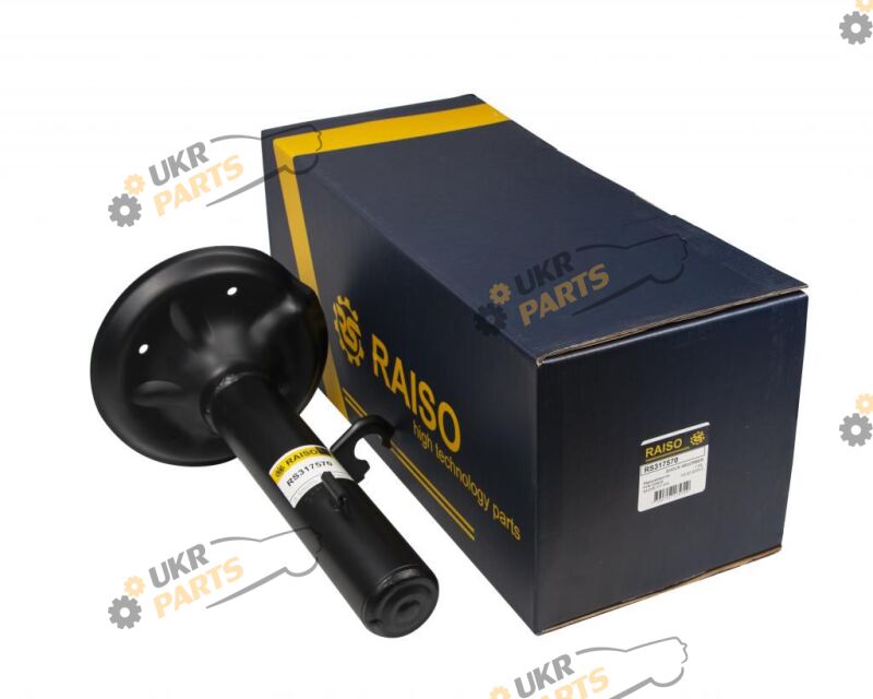  Raiso RS317570