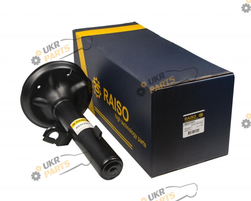  Raiso RS317571