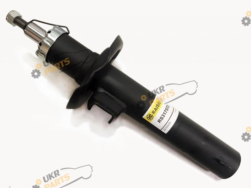  Raiso RS317572