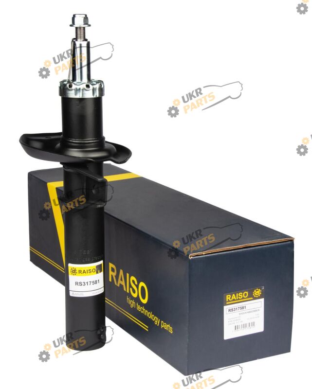  Raiso RS317581