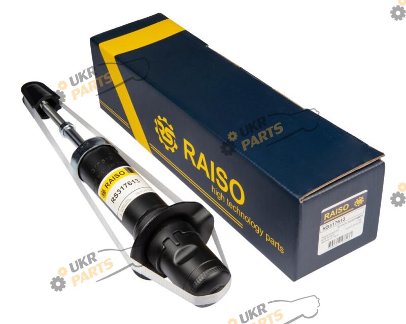  Raiso RS317613