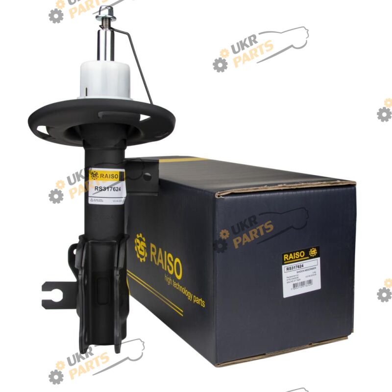  Raiso RS317624
