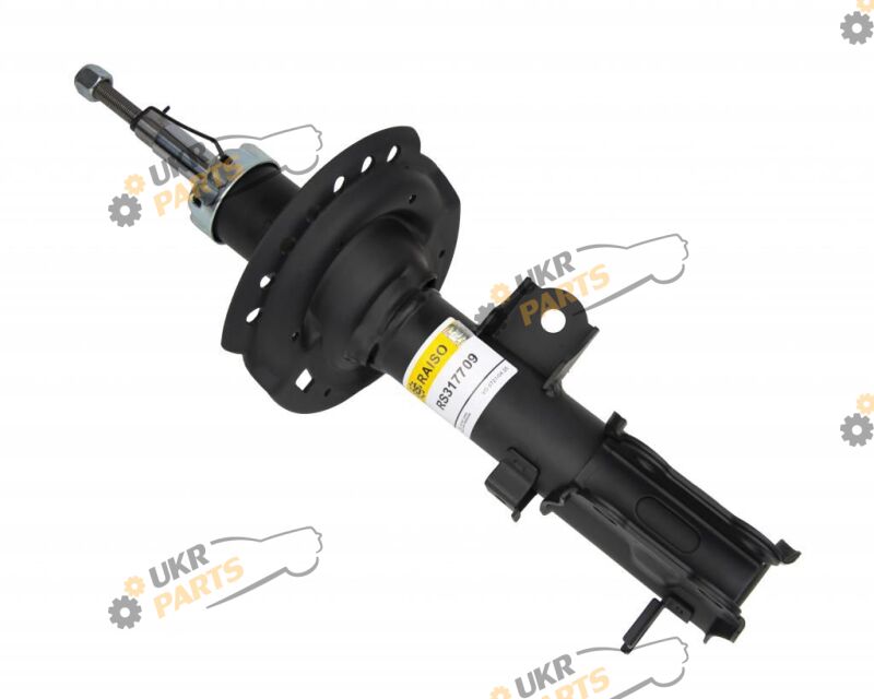  Raiso RS317709