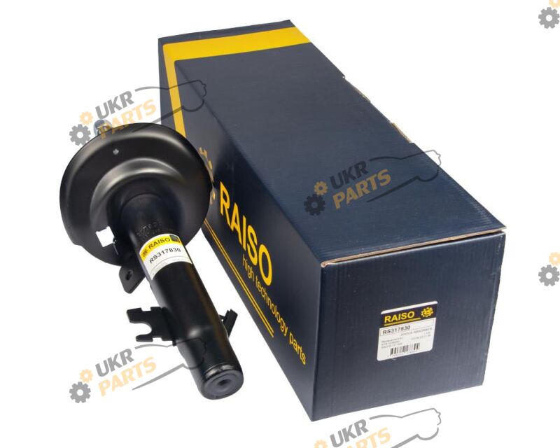  Raiso RS317830
