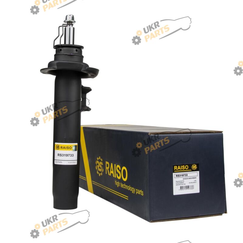  Raiso RS319733