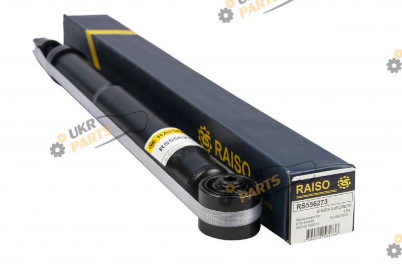  Raiso RS556273