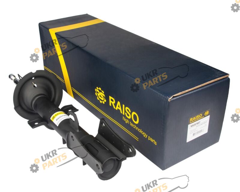  Raiso RS557957