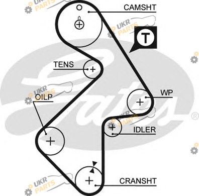 Ремень ГРМ GATES 5202XS