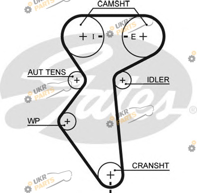 Ремень ГРМ GATES 5419XS