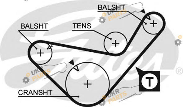 Ремень ГРМ GATES 5436XS