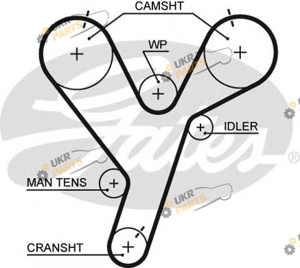 Ремень ГРМ GATES 5446XS