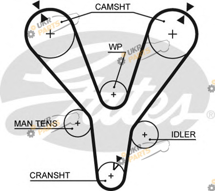 Ремень ГРМ GATES 5555XS