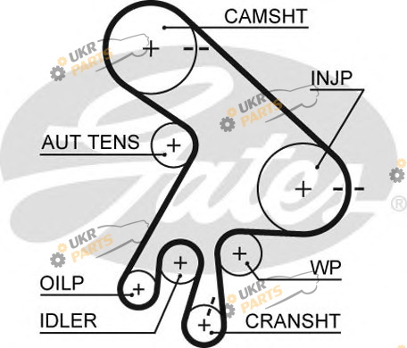 Ремень ГРМ GATES 5562XS