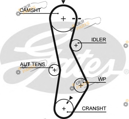 Ремень ГРМ GATES 5579XS