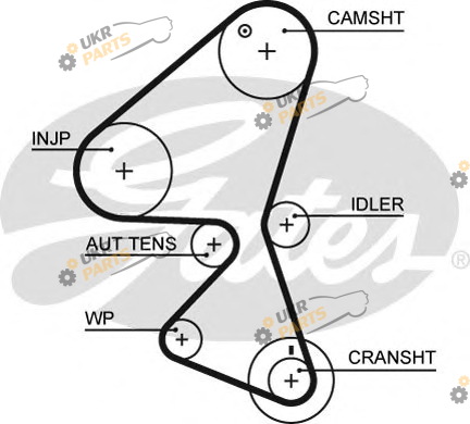 Ремень ГРМ GATES 5598XS