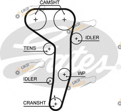 Ремень ГРМ GATES 5607XS