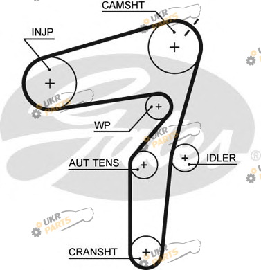 Ремень ГРМ GATES 5623XS