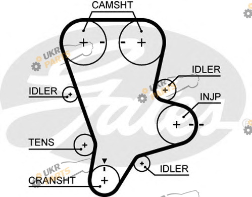 Ремень ГРМ GATES 5644XS