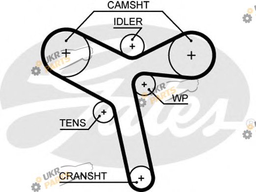Ремень ГРМ GATES 5647XS