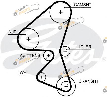 Ремень ГРМ GATES 5656XS