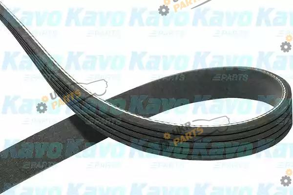 Поликлиновой ремень KAVO PARTS DMV-3015