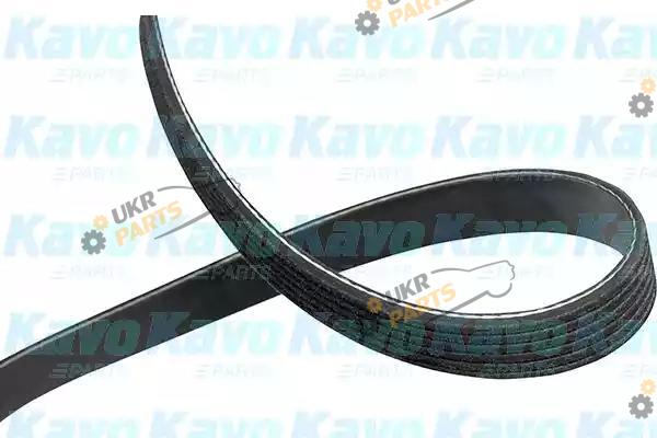 Поликлиновой ремень KAVO PARTS DMV-9005