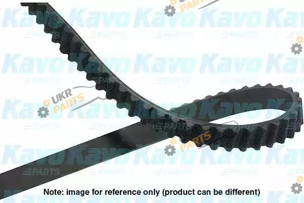 Ремень ГРМ KAVO PARTS DTB-9041