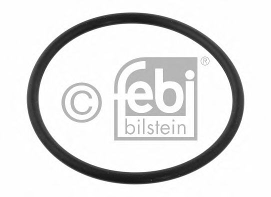 Уплотнительное кольцо, поворотного кулака FEBI 32434