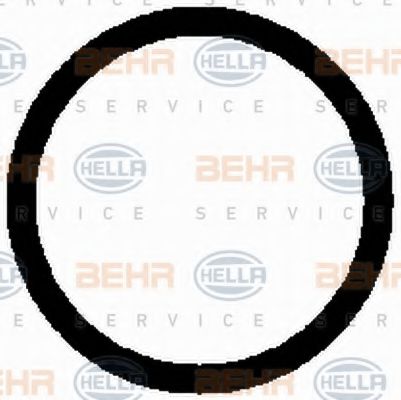 Компрессор кондиционера behrhella 8FK 351 126-251