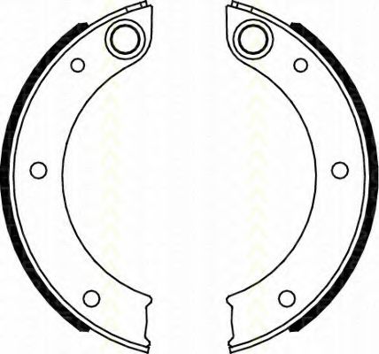 Тормозные колодки барабанные TRISCAN 8100 20003