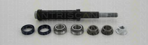 Комплект рычагов TRISCAN 8500 38401