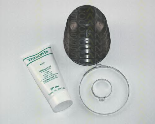 Комплект пыльника шруса TRISCAN 8540 28811