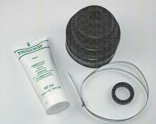 Комплект пыльника шруса TRISCAN 8540 38803