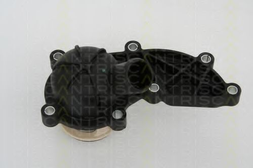 Термостат TRISCAN 8620 21688