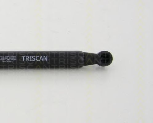 Амортизатор багажника TRISCAN 8710 24255 Амортизатор багажника TRISCAN 8710 24255