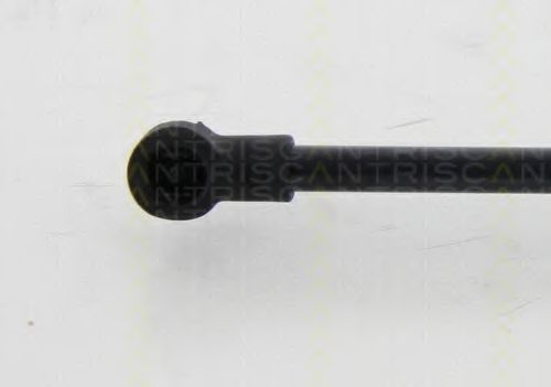 Амортизатор багажника TRISCAN 8710 24255