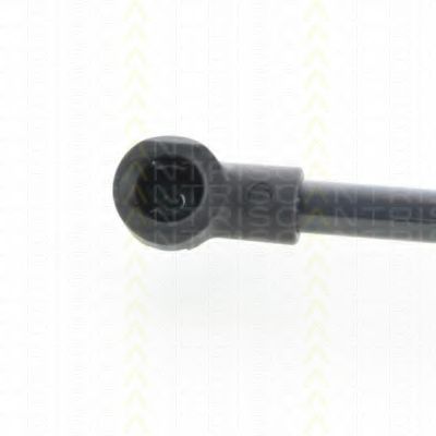 Амортизатор багажника RENAULT 654700010R Амортизатор багажника RENAULT 654700010R
