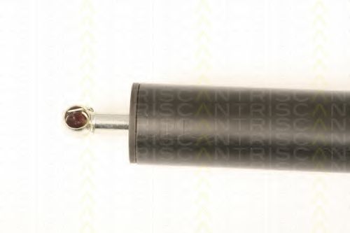 Амортизатор багажника CITROEN/PEUGEOT 792518 Амортизатор багажника CITROEN/PEUGEOT 792518