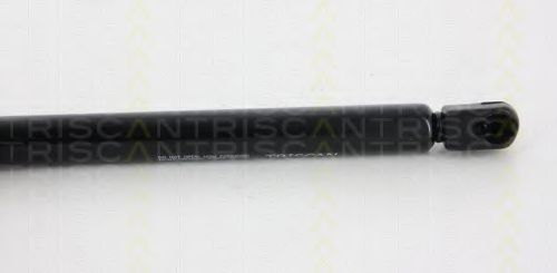Амортизатор багажника TRISCAN 8710 66206 Амортизатор багажника TRISCAN 8710 66206