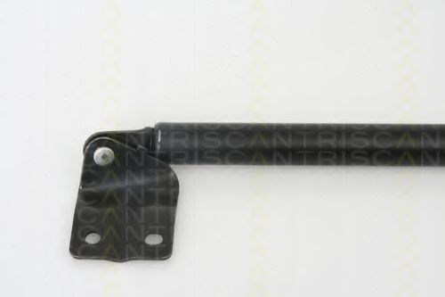 Амортизатор багажника TRISCAN 8710 69216 Амортизатор багажника TRISCAN 8710 69216