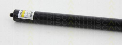 Амортизатор багажника TRISCAN 8710 80209 Амортизатор багажника TRISCAN 8710 80209